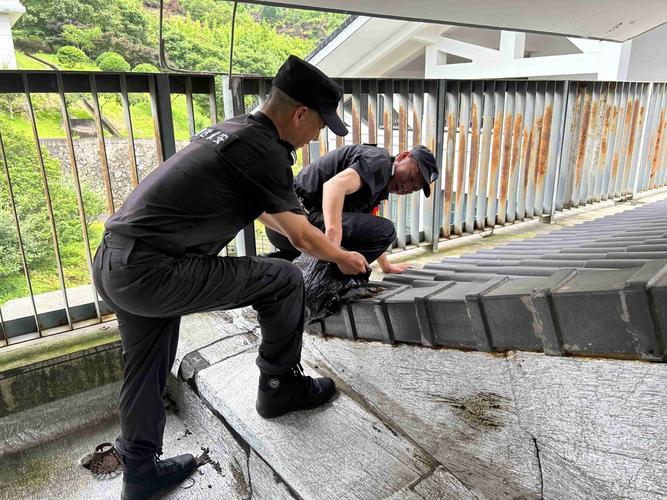 鸿震保安行业信息综述